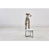 MiaCara Porcelanasta posoda s podstavkom za pse ø 20 cm Pranzo Grolive M – | Shoptok.si