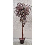 stablo eukaliptus 115 cm A09250