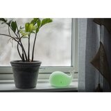 Star Trading Bela otroška nočna lučka LED Whale - | Shoptok.si