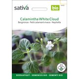 BIO zelišče "Drobnolistni čober" - 0,10 g | Shoptok.si