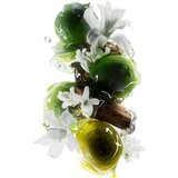 L´Oréal Paris Loreal Set za kosu Metal Detox Meteora | Eponuda.com