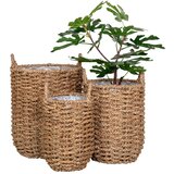 House Nordic Podstavki za cvetlične lonce iz morske trave v kompletu 3 ks ø 31 cm Hue – | Shoptok.si