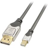 Lindy Mini-DisplayPort / DisplayPort adapterski kabel Mini DisplayPort utikač, DisplayPort utikač 0.50 m siva 36310 DisplayPort kabel Cijene