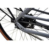 Capriolo Belt Drive 28'' E-bike sivo-bež (925840) | Eponuda.com