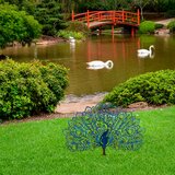 Aberto Design Dekorativna figura Peacock v2, 60x38 cm, 1.5 mm | Eponuda.ba