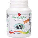 SanaCare maitake Extrakt Bio Cene