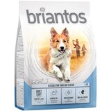 briantos Adult Light - 1 kg Cene