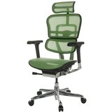 MID.YOU Pisarniški Stol Ergohuman I, Zelena | Shoptok.si