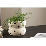 Venture Home tegla za biljke Dapne (art. 58151-110) ⌀16 cm Cijene