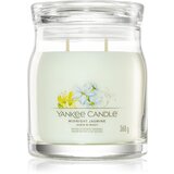Yankee Candle Midnight Jasmine mirisna svijeća I. Signature 368 g Cijene