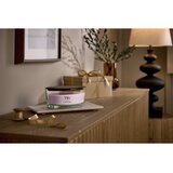 WoodWick Cherry Blossom & Vanilla dišeča sveča z lesenim stenjem 453.6 g | Shoptok.si