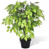  Umjetno patuljasto stablo fikusa s teglom 60 cm | Eponuda.com