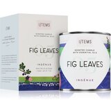 Items Artist Collection 05 / Fig Leaves mirisna svijeća 200 g | shoptok.hr