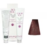 YOUNG Farba za kosu No 6.5 Dark mahogany blond, 100ml | Eponuda.com