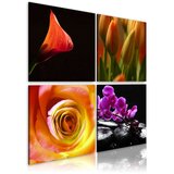  Slika - The essence of beauty 80x80 Cijene
