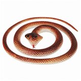  Raztegljiva kača 75 cm – 6 različnih modelov Model 04 | Shoptok.si