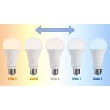  LED žarulja 5 boja svjetla GLS E27 230V 13W 5CCT | shoptok.hr
