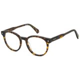 Polaroid PLDD519 086 ONE SIZE (50) Havana/Kristalna Cene