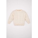 Defacto baby Boy Crew Neck Sweater Cene