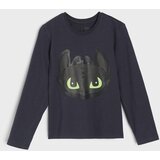 Sinsay Komplet dvodijelne pidžame How to train Your Dragon | shoptok.hr