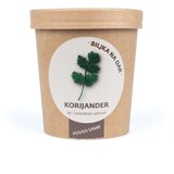 Urbana bašta Biljka na dar Korijander | Eponuda.com