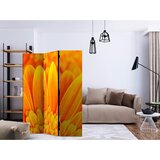 Artgeist Paravan Yellow Garbera Daisies, 3-Delni, Dvostranski | Shoptok.si