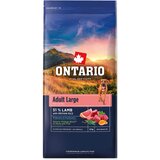 Ontario Adult Large - jagnjetina in rjavi riž 12 kg | Shoptok.si