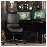 Expert 7.9 Crna ergonomska stolica | shoptok.hr