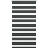 vidaXL idaXL Zebra senčilo črna 75x150 cm tkanina širina 70,9 cm poliester | Shoptok.si