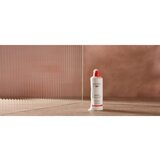 Christophe Robin Regenerating Shampoo with Prickly Pear Oil regenerirajući šampon 250 ml | shoptok.hr