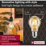  LED prigušiva sijalica FILAMENT E27/6W/230V 1700K - Paulmann 28522 | Eponuda.com