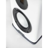 ELAC Carina BS 243.4 schwarz Preis per Stück | Shoptok.si