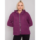 BASIC Feel Good Sweatshirt-RV-BL-7451.23-dark purple Cene