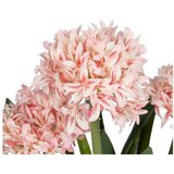 Ixia Umetna rastlina (višina 100 cm) Hyacinth – | Shoptok.si