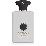 Amouage Opus V: Woods Symphony parfumska voda uniseks 100 ml | Shoptok.si