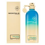 Montale Aoud Lagoon parfumirana voda unisex 100 ml | Shoptok.si