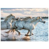  Samoljepljiva foto tapeta - Wild Race 392x280 | shoptok.hr