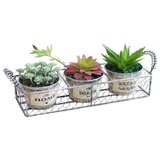 Master Saksije limene set 3/1 01231209 | Eponuda.ba