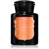 Paddywax Apothecary Noir Baltic Ember mirisna svijeća 226 g | shoptok.hr
