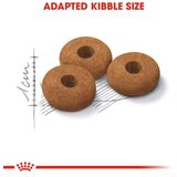 Royal Canin Hrana za gojazne i sterilisane mačke Apetite Control 2kg | ePonuda.com