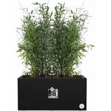 ELHO Korito za rastline vivo next lang - 80 cm Cene