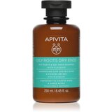 Apivita Holistic Hair Care Nettle & Propolis šampon za masno vlasište i suhe vrhove 250 ml Cijene