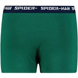 Licensed Bokserice za dječake | Eponuda.ba