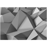  Tapeta - Graphite fantasy 100x70 | shoptok.hr