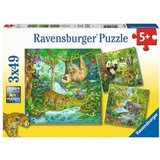 Ravensburger puzzle - slagalice - Dzungla Cene