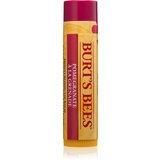 Burt's Bees Burt's Trio Tin poklon set za usne za žene III. | shoptok.hr