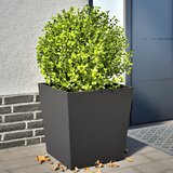  Vrtne sadilice 2 kom crne 50 x 50 x 50 cm čelične | Eponuda.com