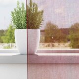 Voile zavjese s ušicama 2 kom crvena boja vina | Shoptok.si