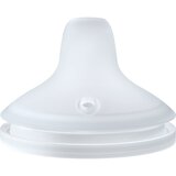 Nuk Perfect Match Spare Spout nadomestni ustnik 6m+ 2 kos Cene