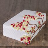 Torta Ivanjica Oranž mus - bezglutenska torta - velika | ePonuda.com